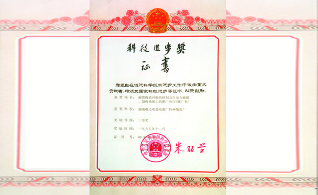 科學(xué)技術(shù)進(jìn)步獎(jiǎng)三等獎(jiǎng)